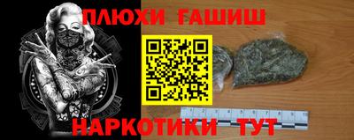 сатива Кинель